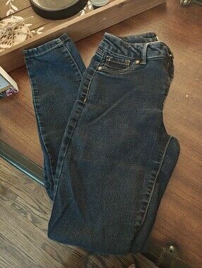 Blue Spice Indigo Skinny Stretch Jeans